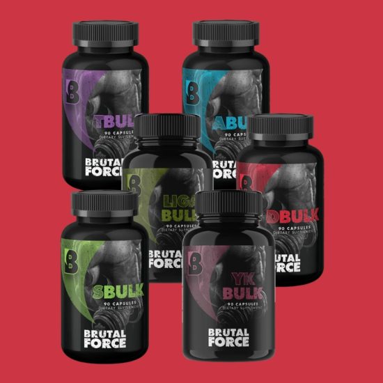 Brutal Force